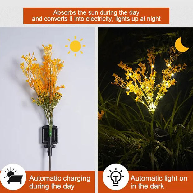 Mintiml® Super Good-looking Rape Flower Solar Light