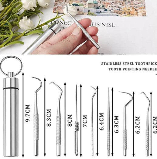🔥Hot Sale🔥 Stainless Steel Toothpick Set